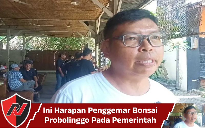 Ini Harapan Penggemar Bonsai Probolinggo Pada Pemerintah